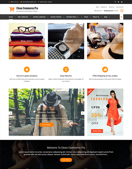 WordPress Pro Themes