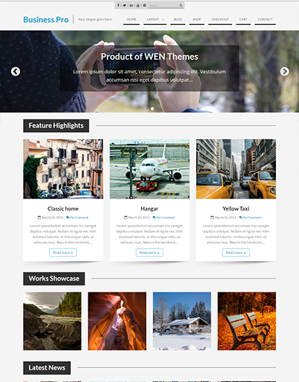 WordPress Pro Themes